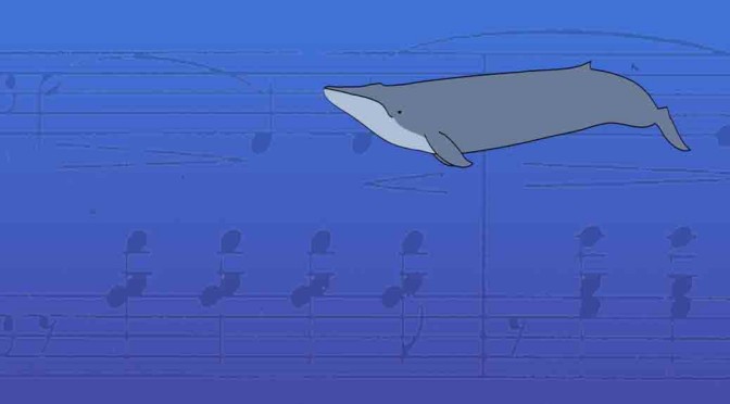 Sad Story of The Lonely Whale – 52 Hertz – Awesci – Science Everyday