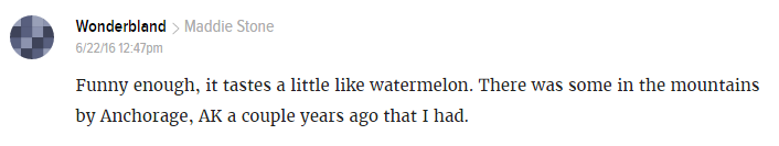 gizmodo comment watermelon ice.png