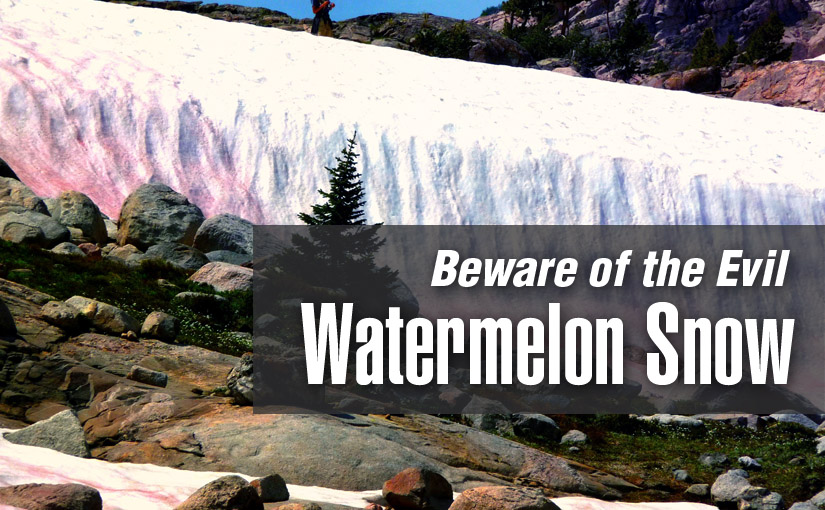 Beware of the Watermelon Snow