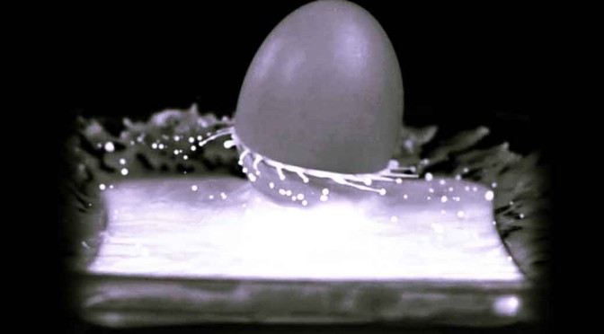 The Hard Boiled Egg Sprinkler Mystery
